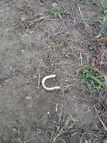 furto campo clementine 2