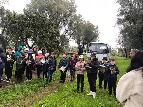 percorso didattico cinque sensi piu uno 03
