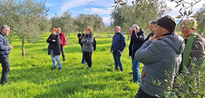 Incontro con la Valle del Marro sulluliveto confiscato