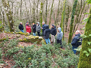 Visita Aspromonte