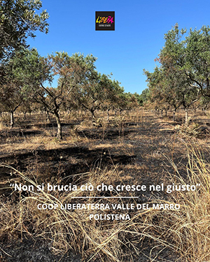 non si brucia ciò che cresce nel giustoi VDM